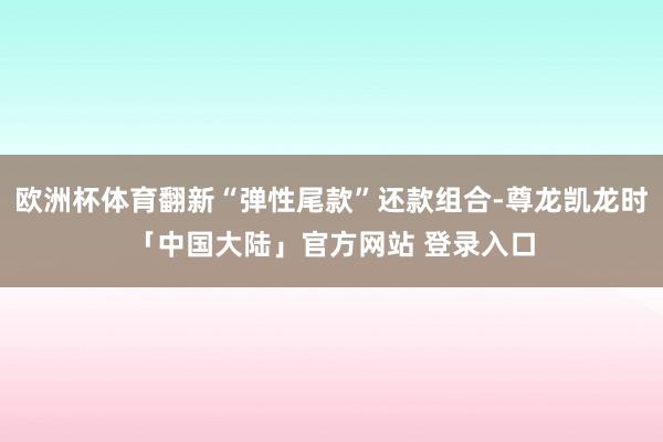 欧洲杯体育翻新“弹性尾款”还款组合-尊龙凯龙时「中国大陆」官方网站 登录入口