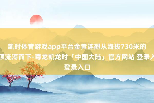 凯时体育游戏app平台金黄连翘从海拔730米的山顶流泻而下-尊龙凯龙时「中国大陆」官方网站 登录入口